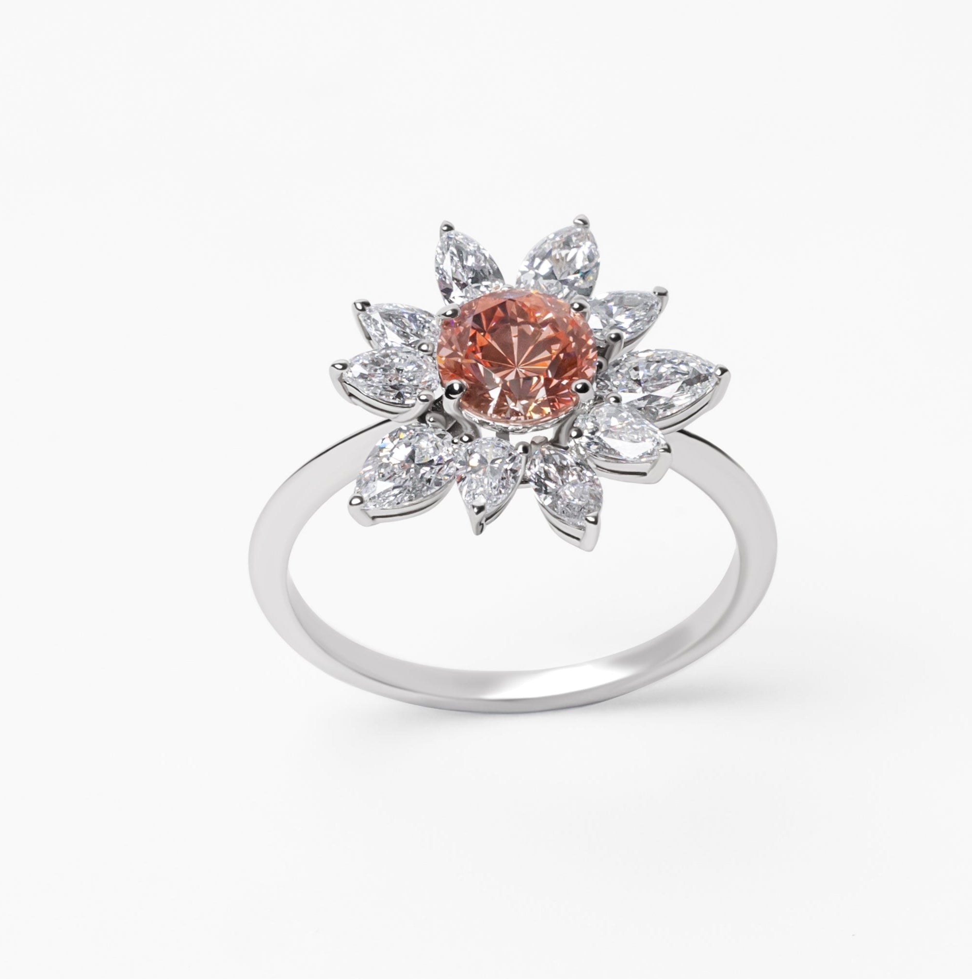 (Rose de) Montmartre -